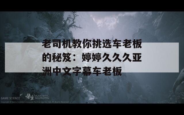 老司机教你挑选车老板的秘笈：婷婷久久久亚洲中文字幕车老板