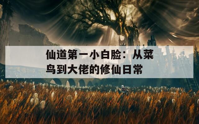 仙道第一小白脸：从菜鸟到大佬的修仙日常