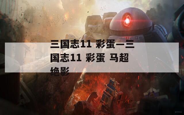 三国志11 彩蛋—三国志11 彩蛋 马超绝影
