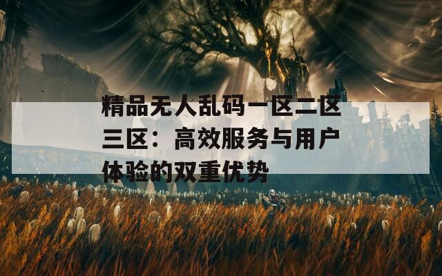 精品无人乱码一区二区三区：高效服务与用户体验的双重优势