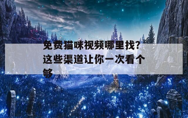 免费猫咪视频哪里找？这些渠道让你一次看个够